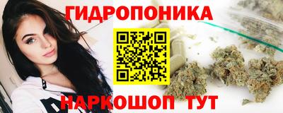 амф Анапа