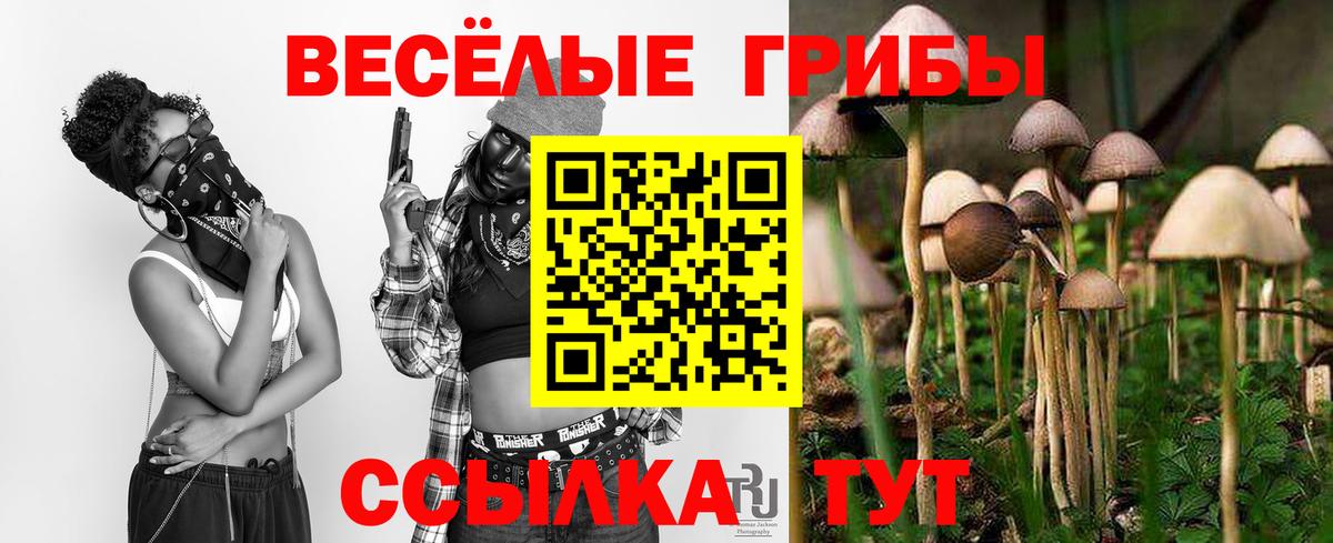 Лыткарино  Псилоцибиновые грибы мицелий  Вход с VPN 
